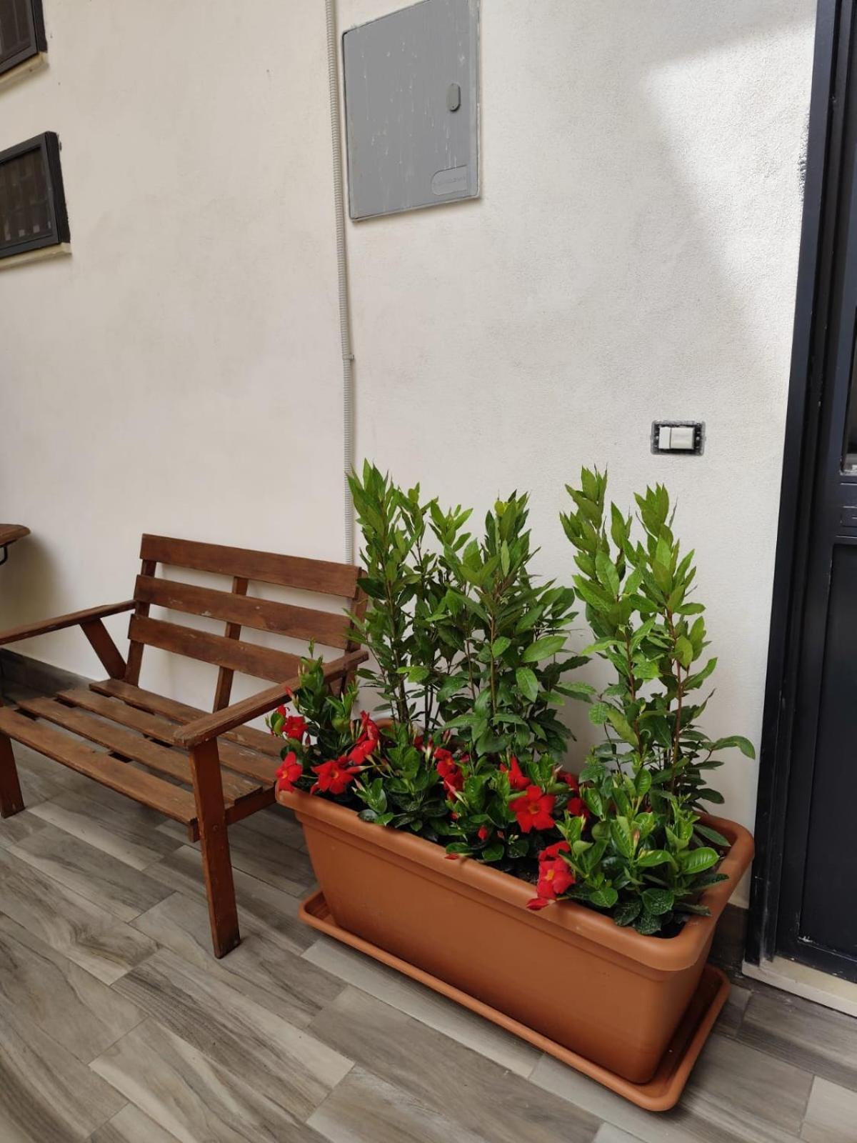 Vicolo Stretto Hotel Scafati Ngoại thất bức ảnh